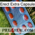 Erect Extra Capsule 06